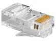 PLUG RJ45 GLC CAT.6  x100 UNID