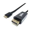 CABLE USB C 3.1 A DISPLAY PORT DE 1,8M