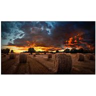 PANTALLA SAMSUNG VMB-U55" SERIE VIDEOWALL PANTALLA SAMSUNG VMB-U55" SERIE VIDEOWALL